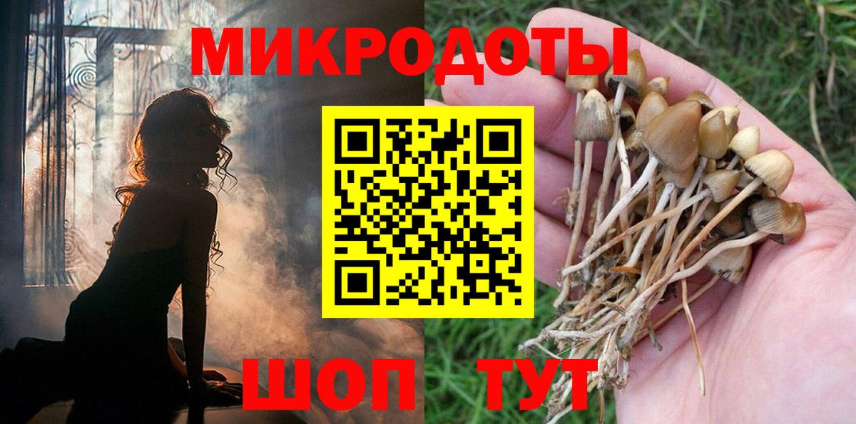 Псилоцибиновые грибы мицелий Фурманов