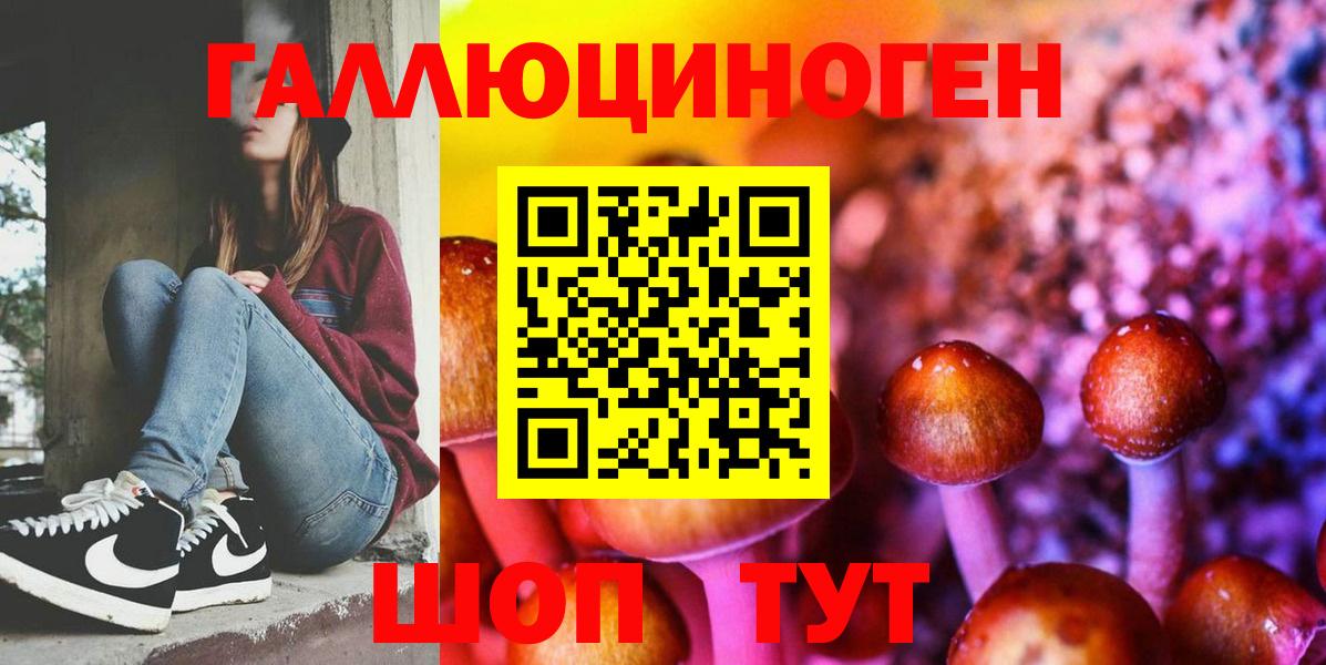 Фурманов  Галлюциногенные грибы MAGIC MUSHROOMS  Вход с VPN 